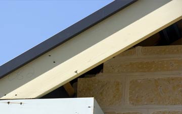 Great Langton fascia repairs