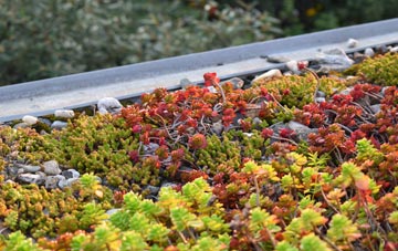 the cost of Great Langton green roof installation
