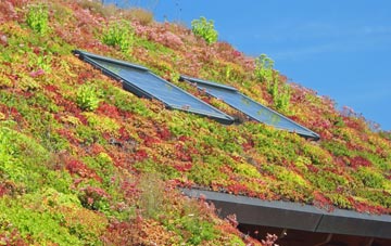 Great Langton living roof systems