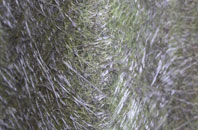 Great Langton fibreglass roof work